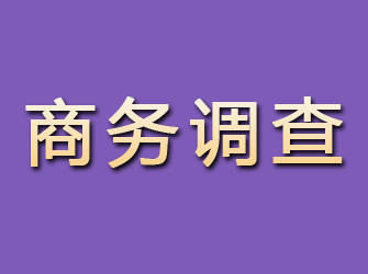 鹿泉商务调查